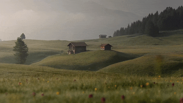 AI深度效果将平面照片转化为3D视差壁纸