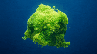 视频壁纸演示：Windows桌面上流畅的MP4播放